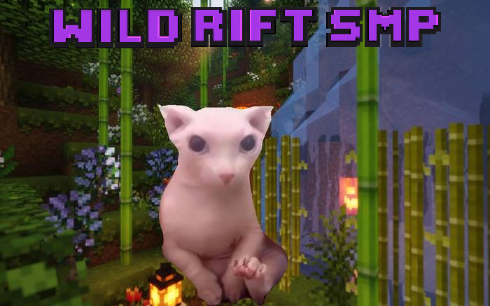 Wild Rift SMP